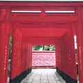 三光稲荷神社の写真_255860