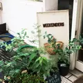 ウィークエンダーズの写真_256609