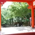 春日大社の写真_256636