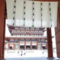 薬師寺の写真_256682