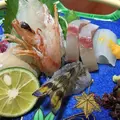 嬉泉館の写真_256705