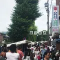 宮川朝市の写真_256826