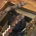 寺子屋本舗 高山店の写真_256842