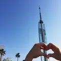 シーサイドももち海浜公園の写真_256990