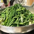 もつ鍋 楽天地 天神本店の写真_257021