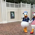 香港ディズニーランド（Hong Kong Disneyland）の写真_257375