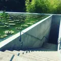 本福寺の写真_257439