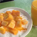 冰讃の写真_257576