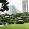 浜離宮恩賜庭園の写真_257677