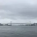 浜離宮庭園 水上バスの写真_257678