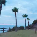 奄美市大浜海浜公園の写真_257718