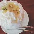 レモンの木の写真_257888