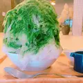 shizukuの写真_257889