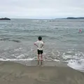 志津川海水浴場「サンオーレそではま」の写真_257960
