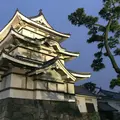 玉藻公園の写真_259087