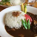 ナチュラル カフェイーナの写真_259351