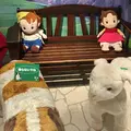 ハイジの村（旧 山梨県フラワーセンター）の写真_259472