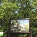 トキの森公園の写真_259724