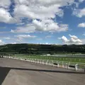 チェルトナム・レースコースの写真_260009