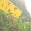 民宿ふうちゃんの写真_260495