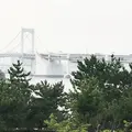 お台場海浜公園の写真_260826