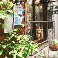 ふくねこ堂の写真_261139