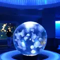 新江ノ島水族館の写真_261227