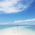 フィリピン ボホール島の写真_261448