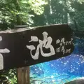 青池の写真_261547