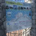 千畳敷海岸の写真_261549