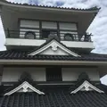 田んぼアートの写真_262574