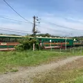 くしろ湿原ノロッコ号の写真_262946