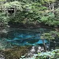神の子池の写真_262962