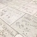 グローマンズ・チャイニーズ・シアターの写真_263002