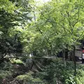 貴船口駅の写真_263194