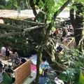 貴船仲よしの写真_263205