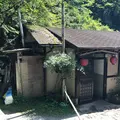 かつらの写真_263222