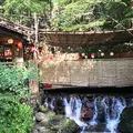 左源太の写真_263239