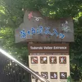 等々力渓谷の写真_263363