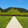 ラコリーナ近江八幡の写真_263819
