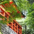 比叡山延暦寺の写真_263824