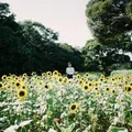 のこのしまアイランドパークの写真_264697
