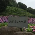 形原温泉あじさいの里の写真_264953