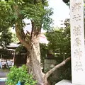 荏原神社の写真_265052