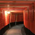 伏見稲荷大社の写真_265130