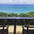 カフェくるくまの写真_265719