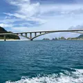 阿嘉港の写真_266821