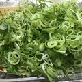 はなだこの写真_267157