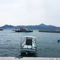 家老渡フェリー乗り場の写真_267348