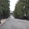 禅林街の写真_267451